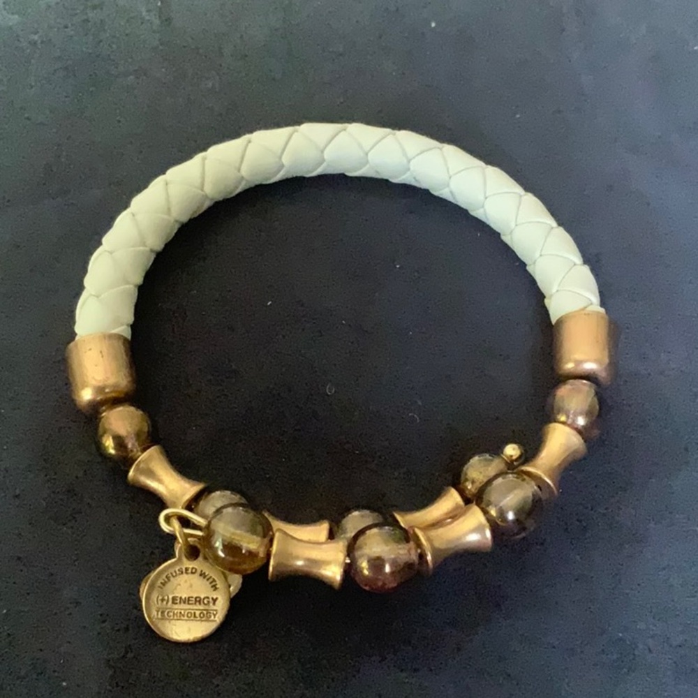 Alex and Ani Elegant Gold and Brown 3 Bracelet Set - Picture 4 of 4